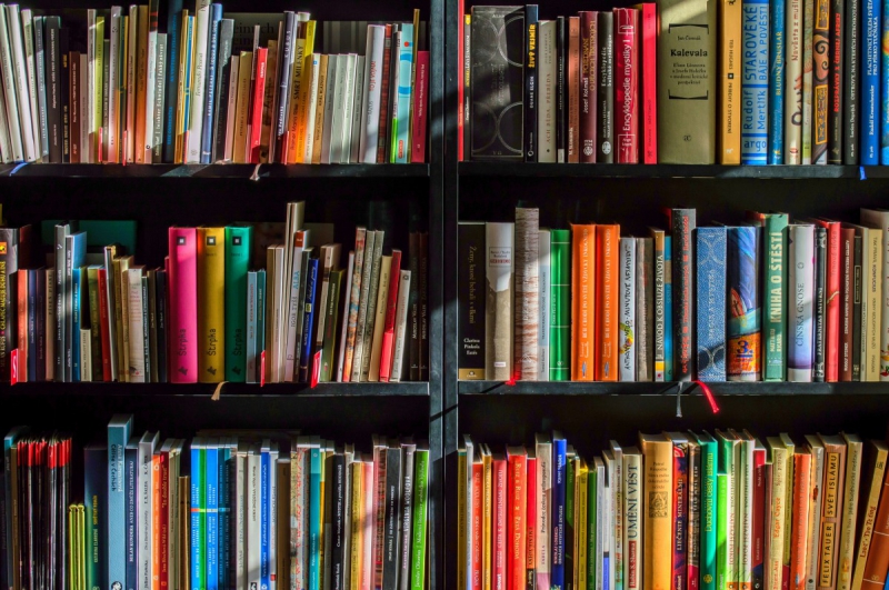 ecommerce-LA ROQUEBRUSSANNE-min_books_bookstore_book_reading_shop_writer_sale_books_read-822866
