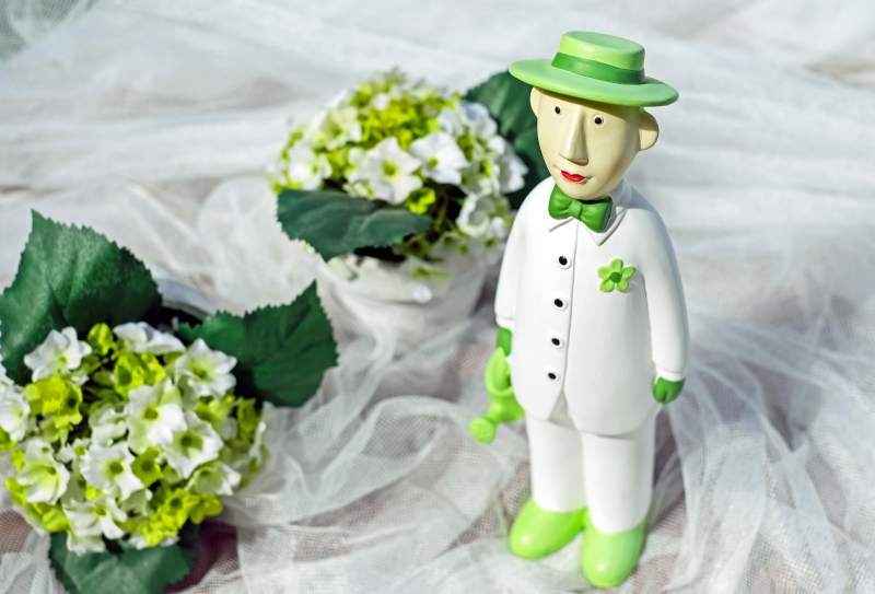 ecommerce-LA ROQUEBRUSSANNE-min_man-person-flower-green-toy-fig-546529-pxhere.com